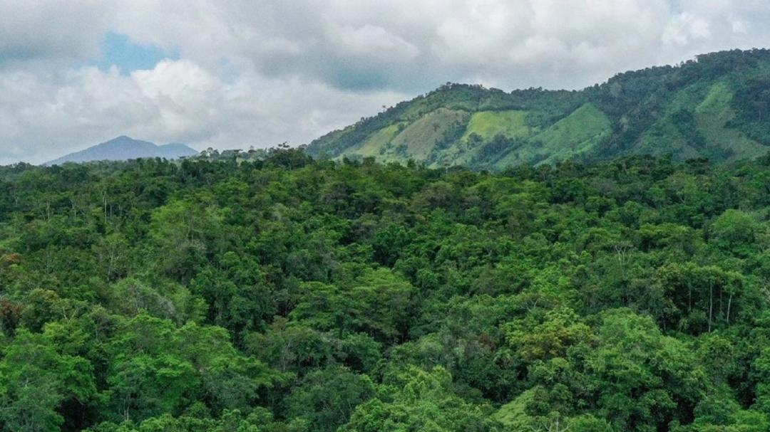 Federico Garcea, cofundador y CEO de Treedom, será el encargado de hacer la sesión “Harnessing Technology for Global Reforestation”